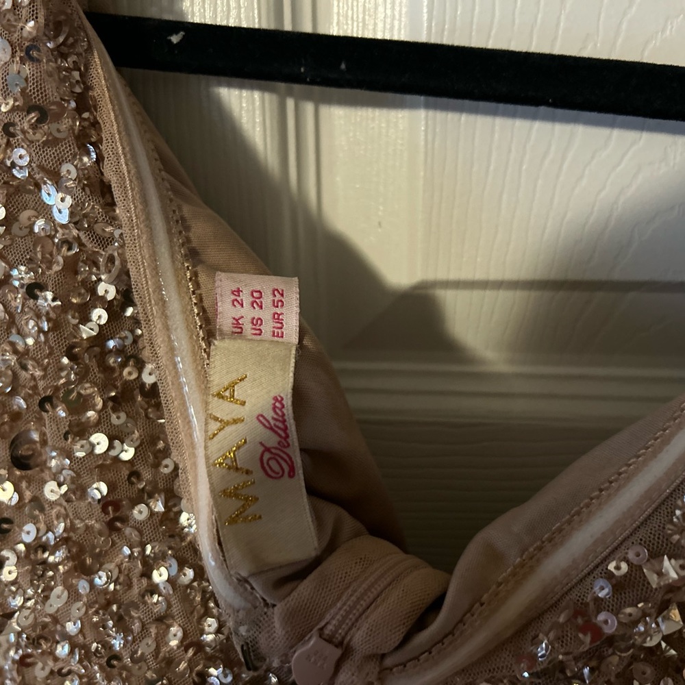 Beautiful Plus Size Formal - image 2